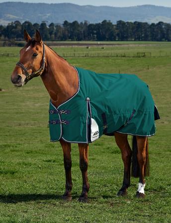 ComfiTec Plus Dynamic Turnout - 220g FOREST/NAVY