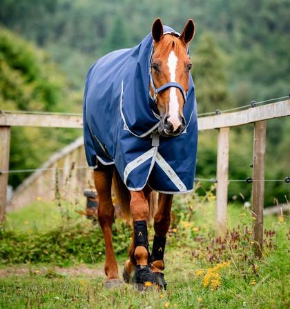 Amigo® Bravo 12 Plus Turnout - 100g