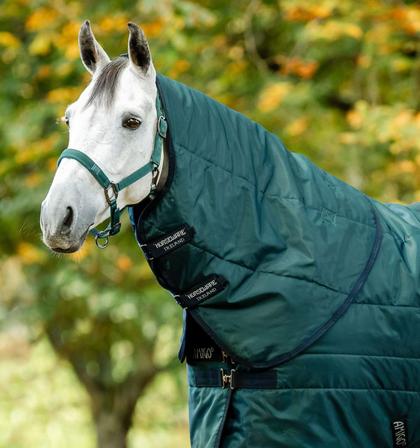 Amigo® Ripstop Insulator Stable Hood - 200g DYNASTY_GREEN/NAVY/SILVER