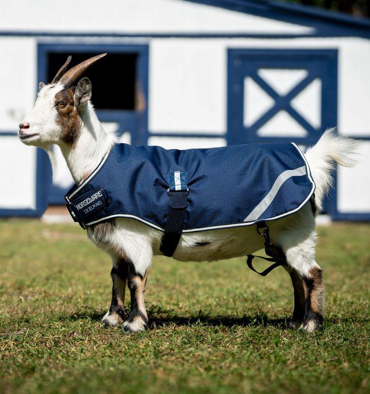 Goat Coat - 100g