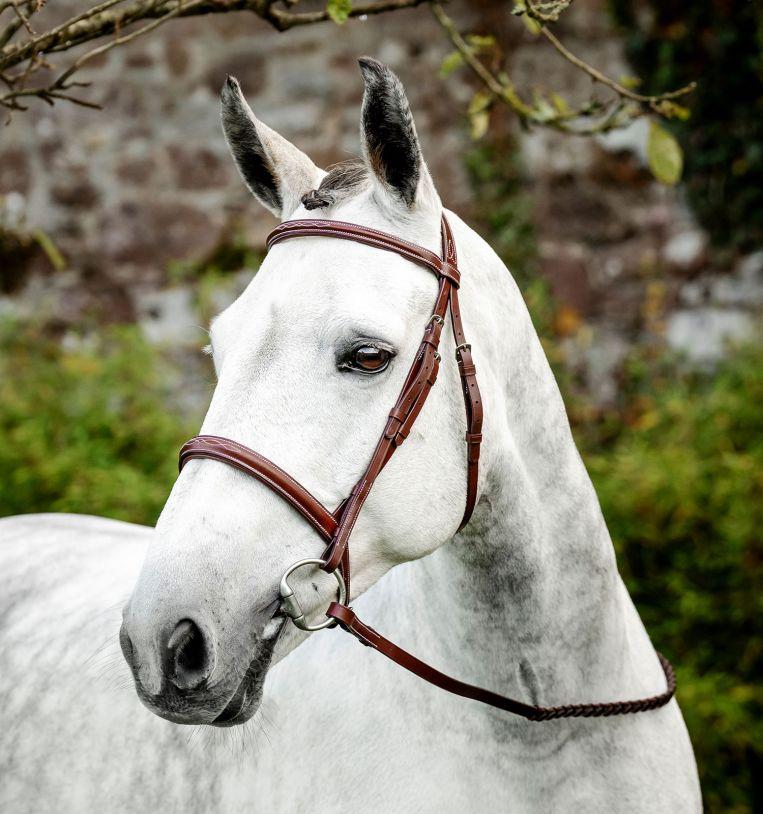 Hunter Bridle With Reins