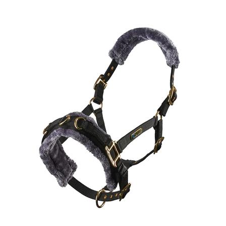 Fleece Lined Lunge Cavesson BLACK