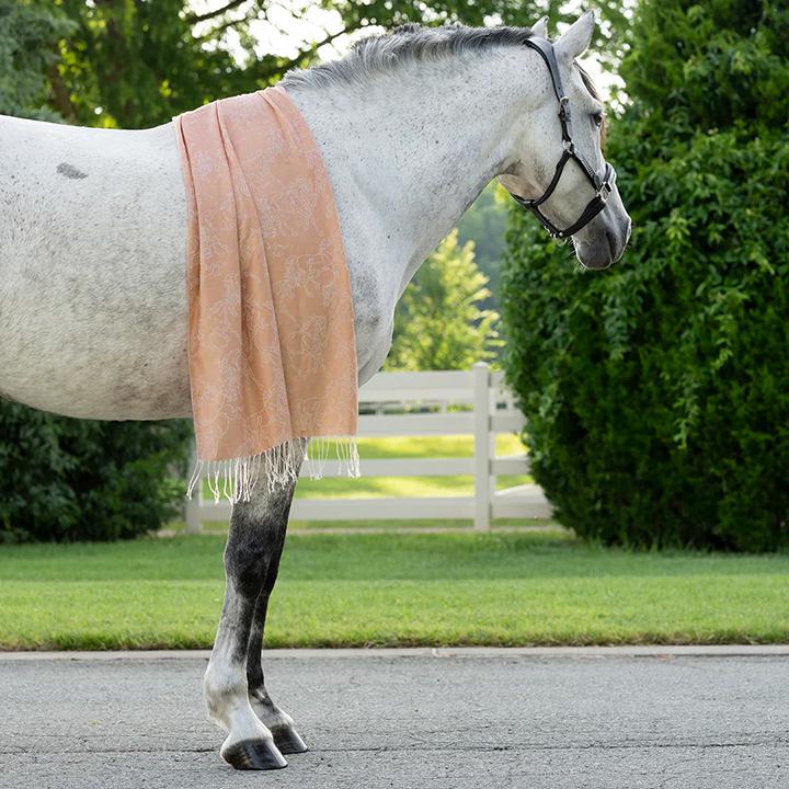 Linear Horses Pashmina Scarf
