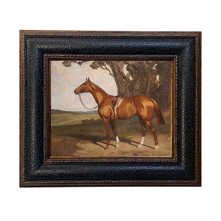Canvas Print | Saddled Chestnut Race Horse