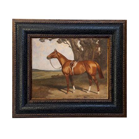 Canvas Print | Saddled Chestnut Race Horse