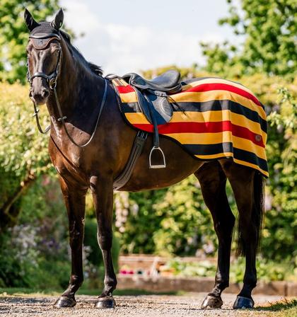 Horseware® Newmarket Exercise Sheet WITNEY_GOLD