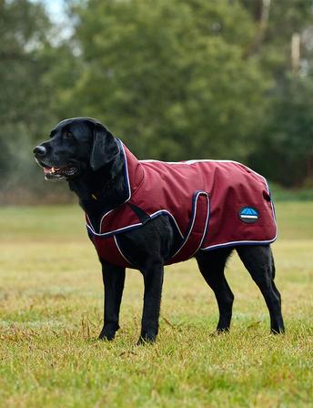 ComfiTec Premier Deluxe Waterproof Dog Coat BURGUNDY/NAVY