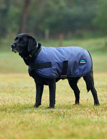 ComfiTec Classic Waterproof Dog Coat