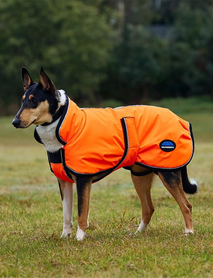 Comfitec Reflective 300d Deluxe Showerproof Dog Coat