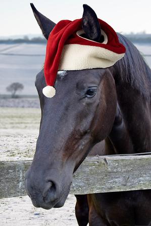 Santa Horse Cap