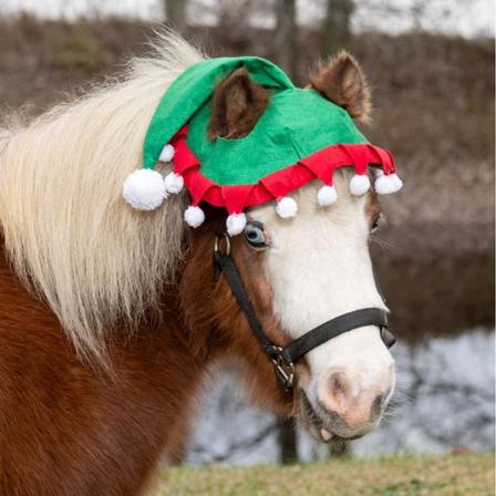 Mini Horse Elf Hat