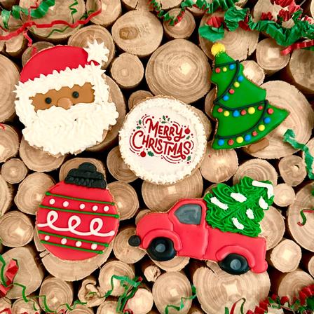 Holiday Fun Horse Treat Pack