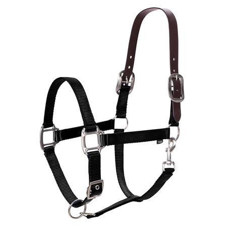Loki Breakaway Halter BLACK