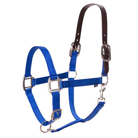 Loki Breakaway Halter ROYAL