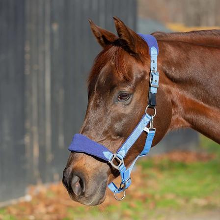 Saga Fleece Padded Breakaway Halter SKY/BLUE