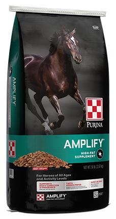 Amplify Equine Supplement