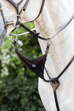 Kudos Bib Martingale Attachment