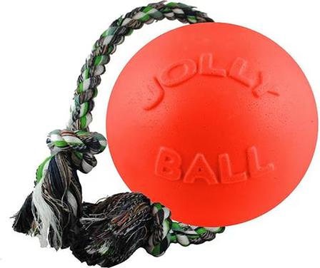 Romp-N-Roll Ball Dog Toy - 6 Inch