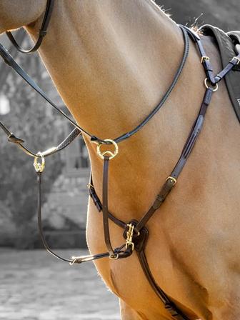 Breastplate with Running Attachment | Havana and Brass