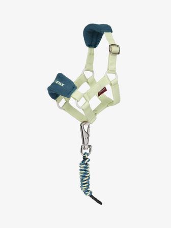 Toy Pony Vogue Headcollar with Lead | Macaron MACARON