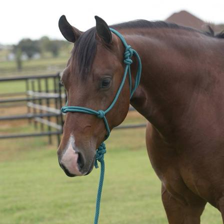 Equisential Rope Halter