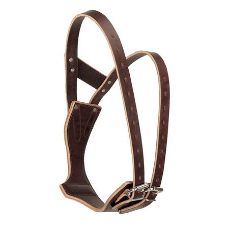 Miracle Collar® | Small