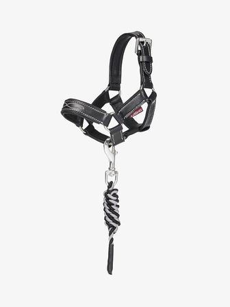 Toy Pony Leather Halter & Leadrope BLACK