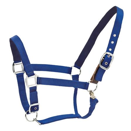 Cushioned Web Breakaway Halter ROYAL