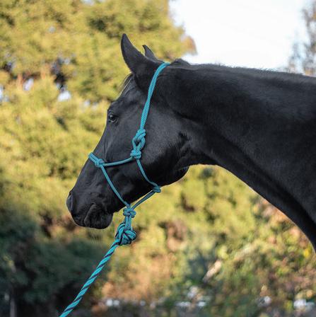 ARMA Rope Halter & Lead Set TURQUOISE/BLACK