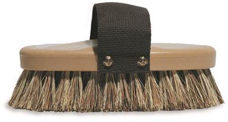 Thoroughbred Brush
