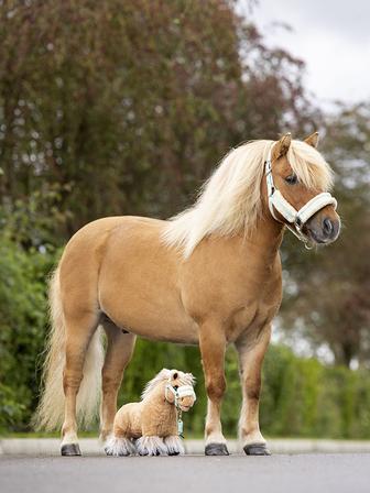 Toy Pony | Cloudy