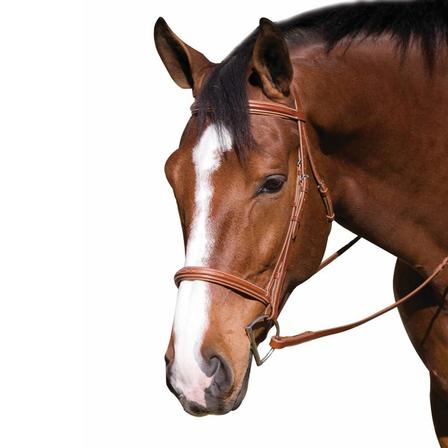 Pro Collection Fancy Raised Padded Bridle with Laced Reins