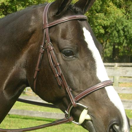 Red Barn Sovereign Bridle