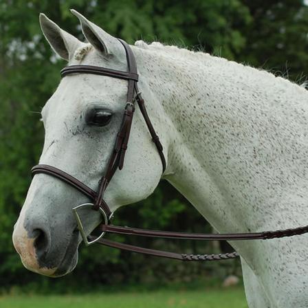Red Barn Icon Bridle