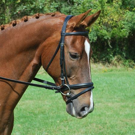 Red Barn Levade Dressage Bridle