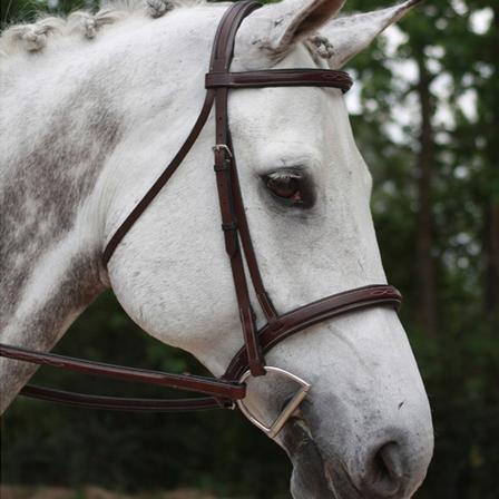 KL Italia Middleburg Bridle