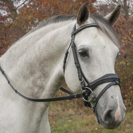 Red Barn Piaffe Dressage Bridle