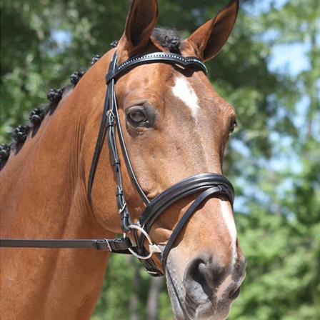 KL Italia Pirouette Dressage Bridle