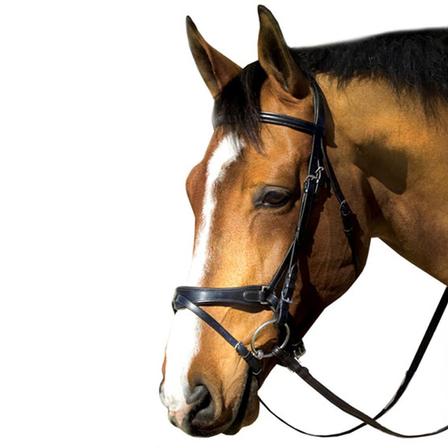 M Toulouse Platinum Flash/Crank Dressage Bridle with Reins