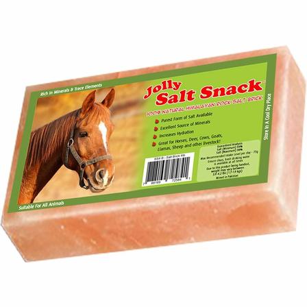 Jolly Salt Snack Brick