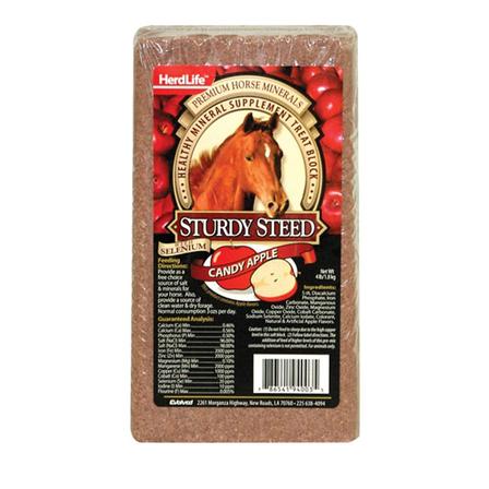 Sturdy Steed Mineral Block - Candy Apple