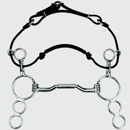 Myler 3-Ring Combination Bit - 6