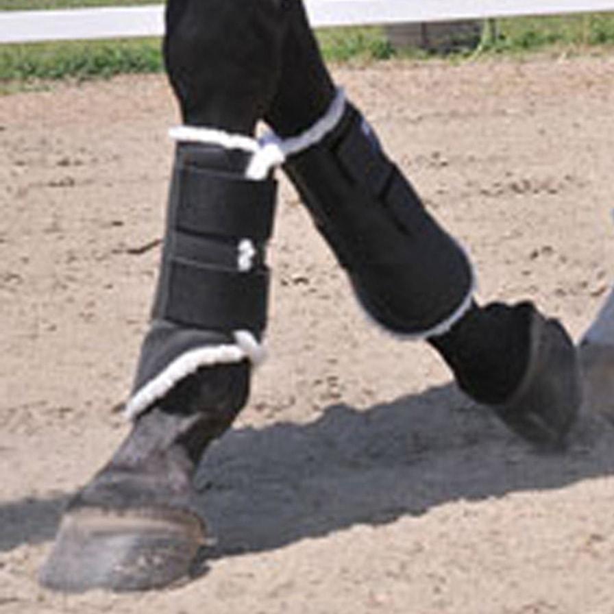 Flex Rider Adelaide Front Horse Boots
