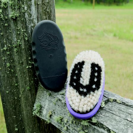 Tail Tamer Boar Bristle Brush