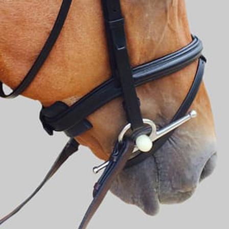 ThinLine Chin Poll Noseband Guard
