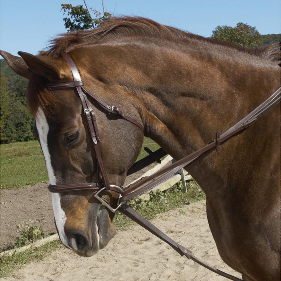 Ovation Stretch Cord Draw Reins