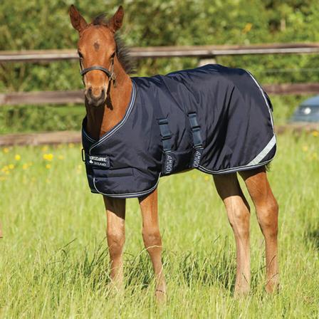 Amigo® Foal Rug Medium Weight Turnout Blanket