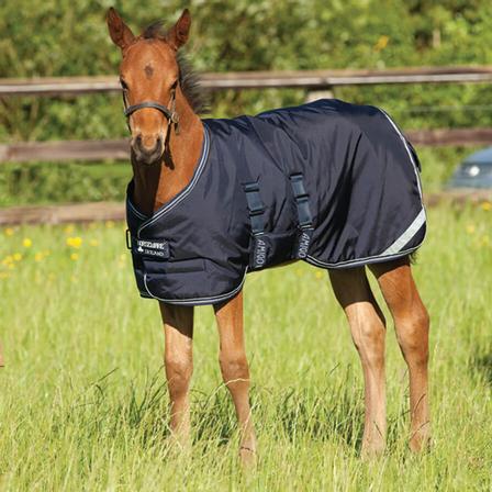 Amigo® Foal Rug Turnout - 200g