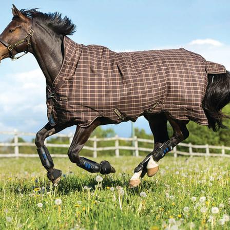 Rhino Wug Pony