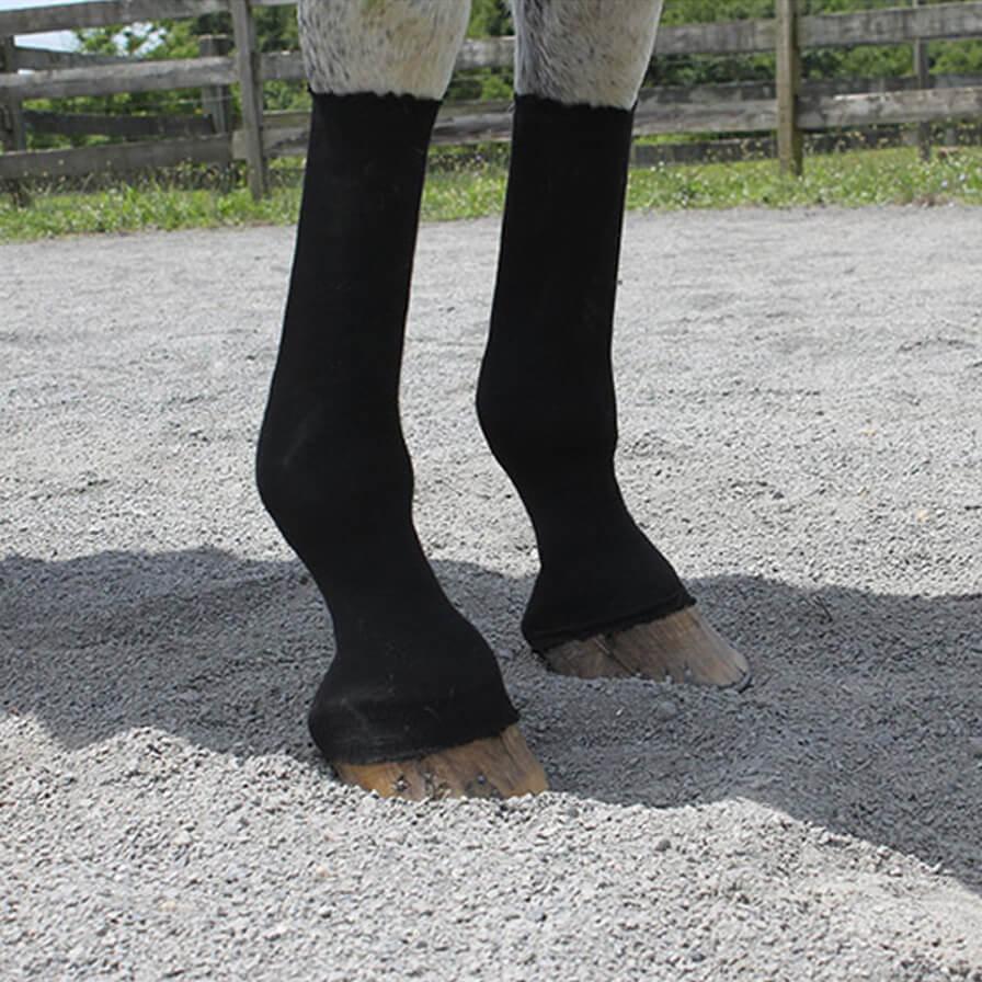 Equifit Horsesox ™